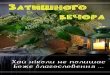 ЗАТИШНОГО ВЕЧОРА