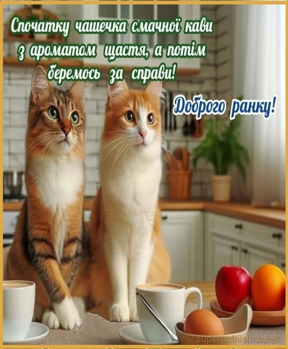 Доброго ранку