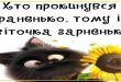 З РАНКОМ Хто прокинувся раненько, тому квіточка гарненька