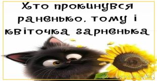 З РАНКОМ Хто прокинувся раненько, тому квіточка гарненька