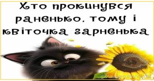 З РАНКОМ Хто прокинувся раненько, тому квіточка гарненька